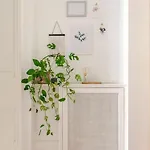 Cosy Hypercentre T3 Graslin *