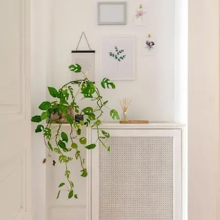 Cosy Hypercentre T3 Graslin *