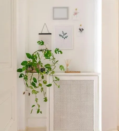 Cosy Hypercentre T3 Graslin *